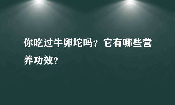 你吃过牛卵坨吗？它有哪些营养功效？