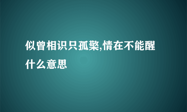 似曾相识只孤檠,情在不能醒 什么意思