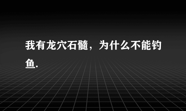 我有龙穴石髓，为什么不能钓鱼.