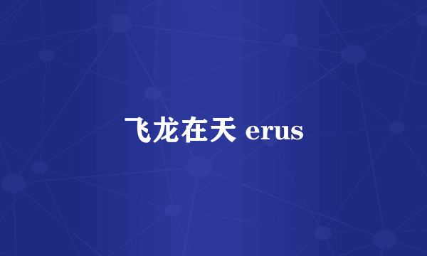 飞龙在天 erus