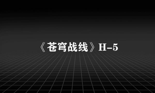 《苍穹战线》H-5