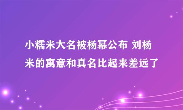 小糯米大名被杨幂公布 刘杨米的寓意和真名比起来差远了