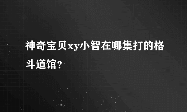 神奇宝贝xy小智在哪集打的格斗道馆？