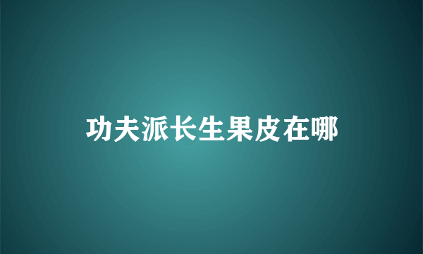 功夫派长生果皮在哪