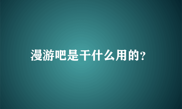 漫游吧是干什么用的？