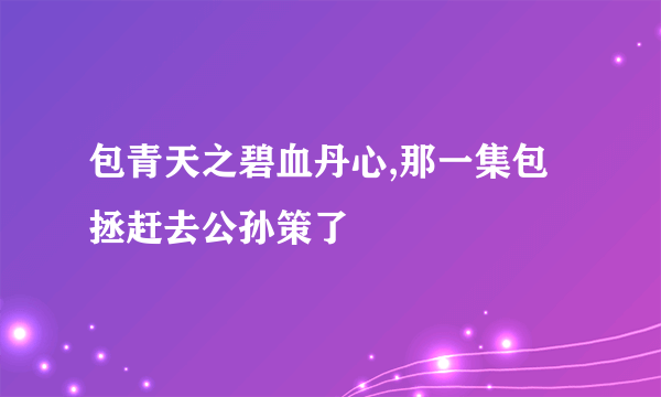 包青天之碧血丹心,那一集包拯赶去公孙策了