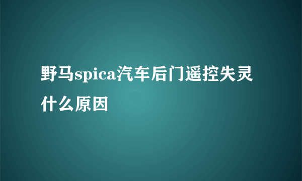 野马spica汽车后门遥控失灵什么原因