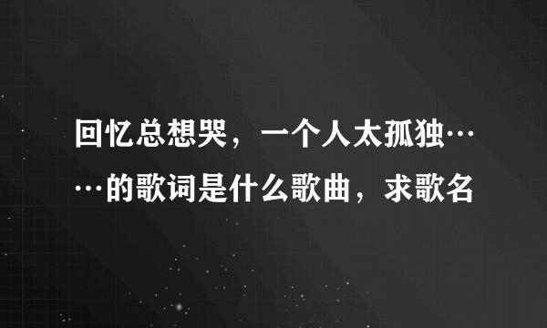 回忆总想哭，一个人太孤独……的歌词是什么歌曲，求歌名