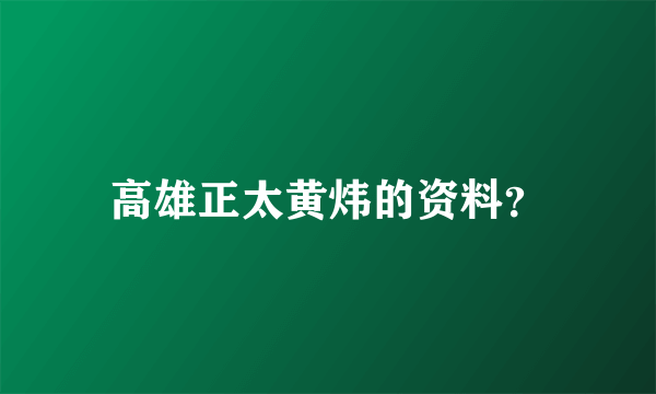 高雄正太黄炜的资料？