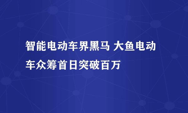 智能电动车界黑马 大鱼电动车众筹首日突破百万