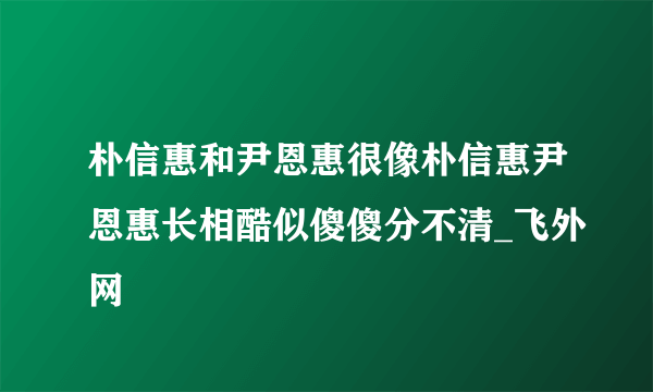 朴信惠和尹恩惠很像朴信惠尹恩惠长相酷似傻傻分不清_飞外网