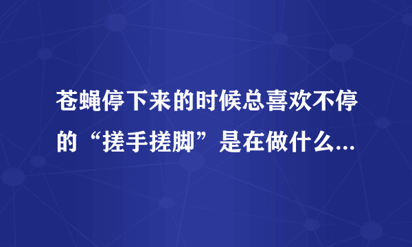 苍蝇停下来的时候总喜欢不停的“搓手搓脚”是在做什么？蚂蚁庄园