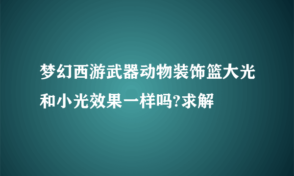 梦幻西游武器动物装饰篮大光和小光效果一样吗?求解