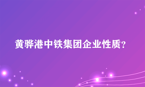 黄骅港中铁集团企业性质？