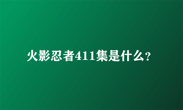 火影忍者411集是什么？