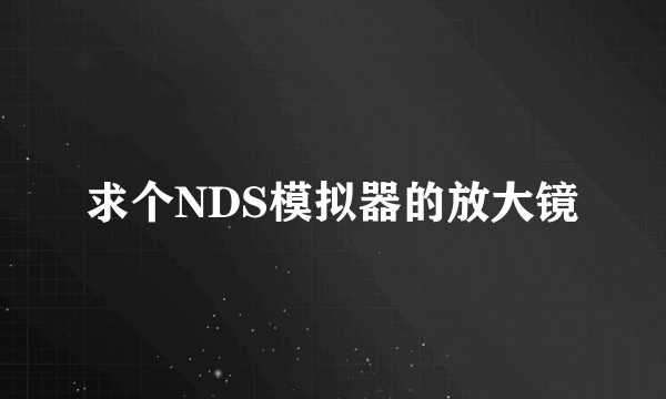 求个NDS模拟器的放大镜