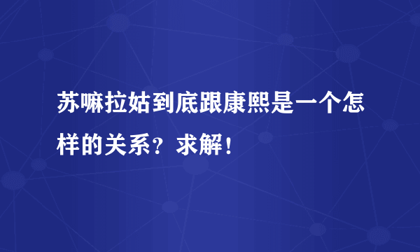 苏嘛拉姑到底跟康熙是一个怎样的关系？求解！