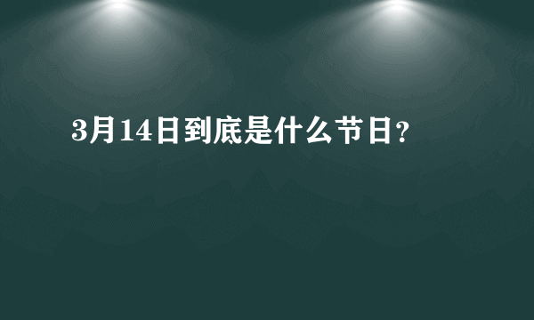 3月14日到底是什么节日？