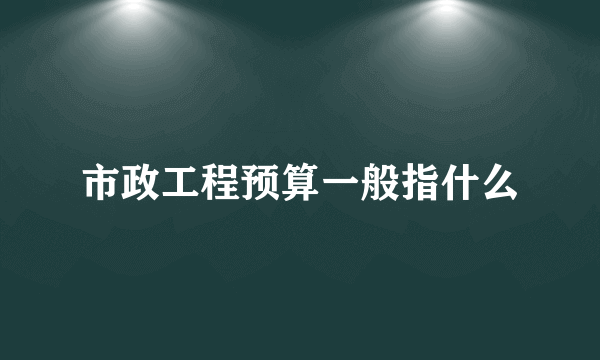 市政工程预算一般指什么