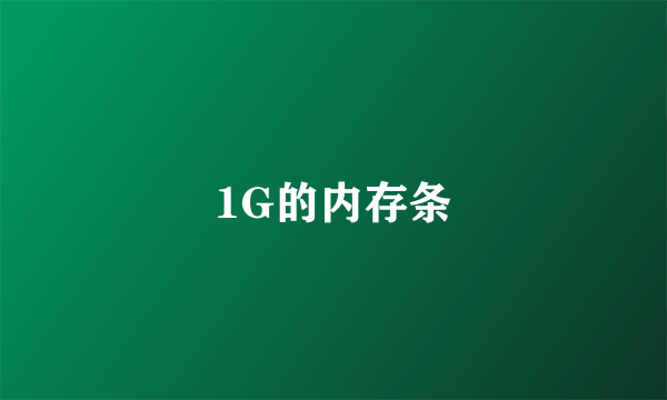 1G的内存条