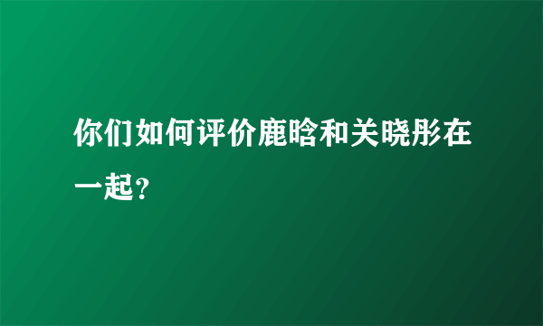 你们如何评价鹿晗和关晓彤在一起？