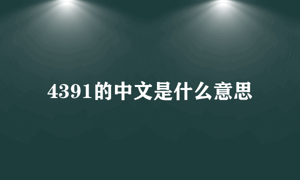 4391的中文是什么意思