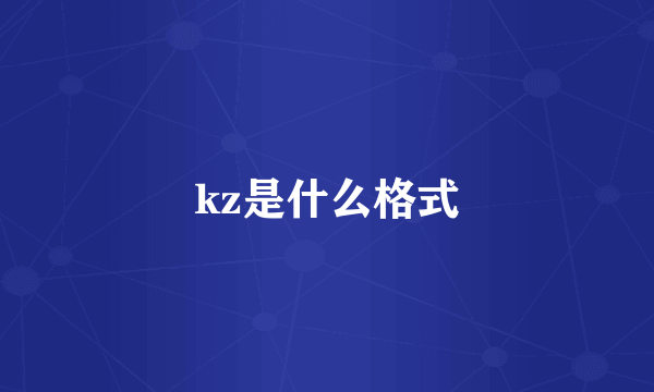 kz是什么格式