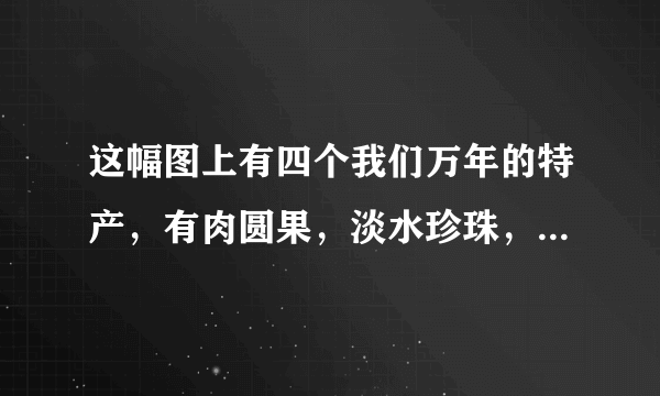 这幅图上有四个我们万年的特产，有肉圆果，淡水珍珠，贡米，和板栗烧肉，用英语怎么说？