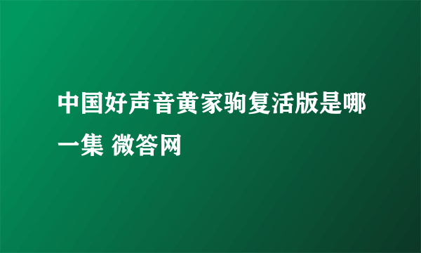 中国好声音黄家驹复活版是哪一集 微答网