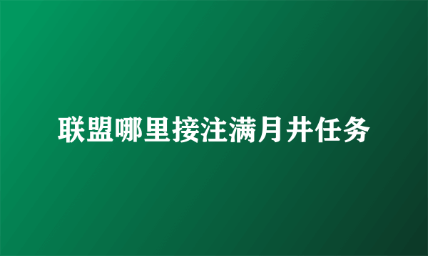 联盟哪里接注满月井任务