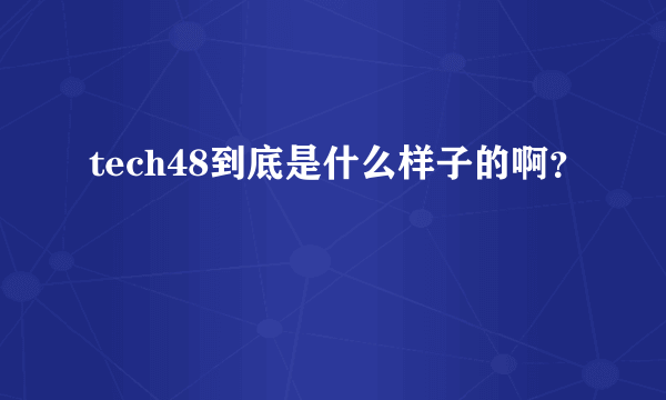 tech48到底是什么样子的啊？