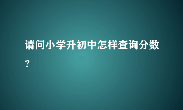 请问小学升初中怎样查询分数？