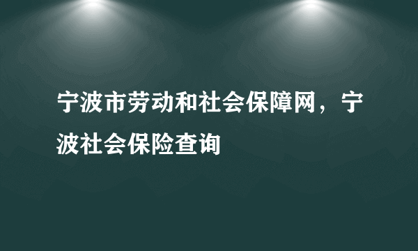 宁波市劳动和社会保障网，宁波社会保险查询