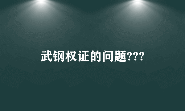 武钢权证的问题???