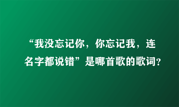 “我没忘记你，你忘记我，连名字都说错”是哪首歌的歌词？