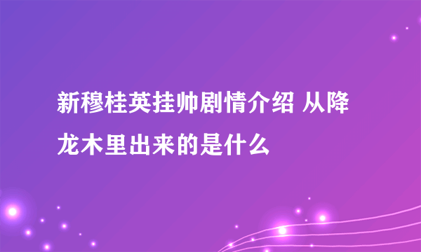 新穆桂英挂帅剧情介绍 从降龙木里出来的是什么