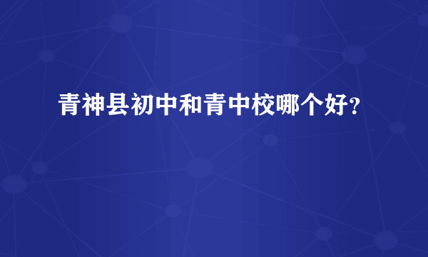 青神县初中和青中校哪个好？