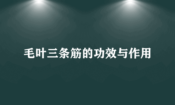 毛叶三条筋的功效与作用