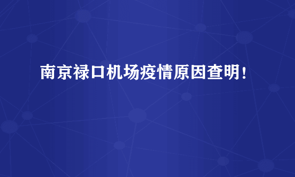 南京禄口机场疫情原因查明！