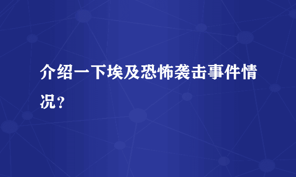 介绍一下埃及恐怖袭击事件情况？