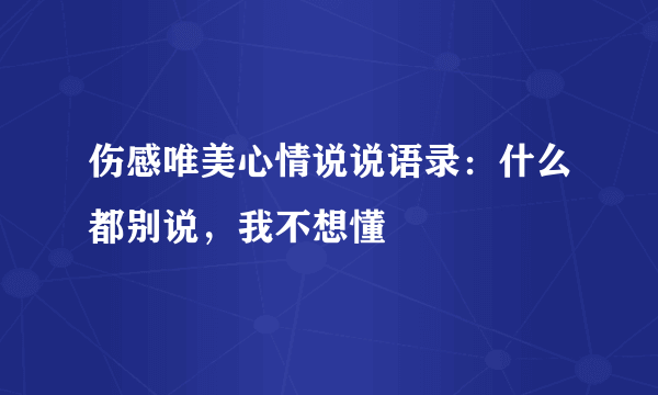 伤感唯美心情说说语录：什么都别说，我不想懂