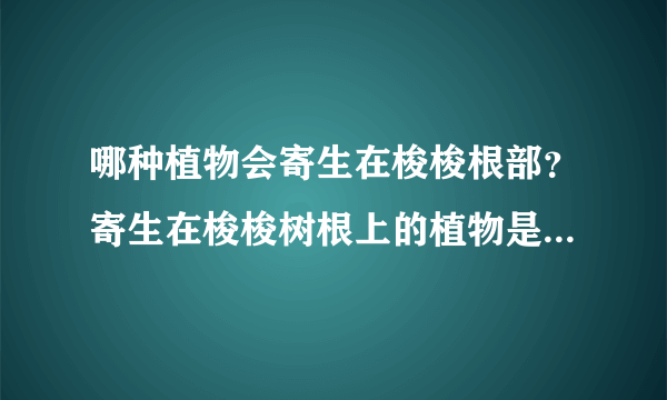 哪种植物会寄生在梭梭根部？寄生在梭梭树根上的植物是什么？蚂蚁庄园今日答案