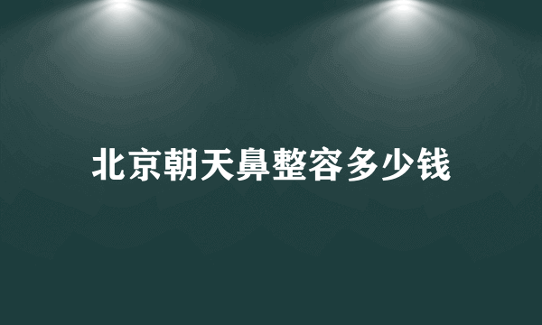 北京朝天鼻整容多少钱