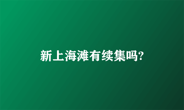 新上海滩有续集吗?