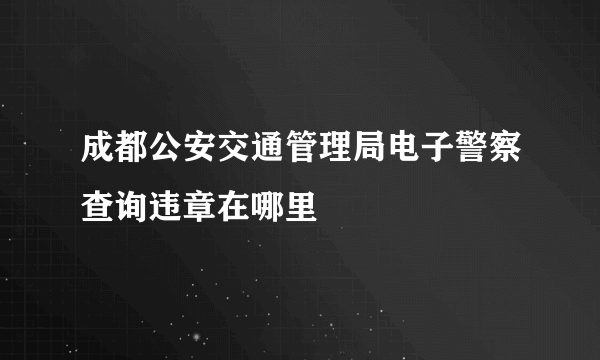 成都公安交通管理局电子警察查询违章在哪里