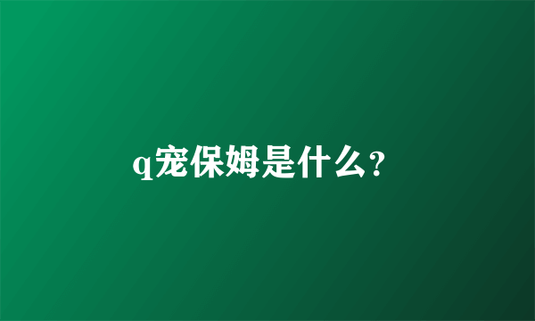 q宠保姆是什么？