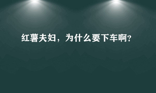 红薯夫妇，为什么要下车啊？