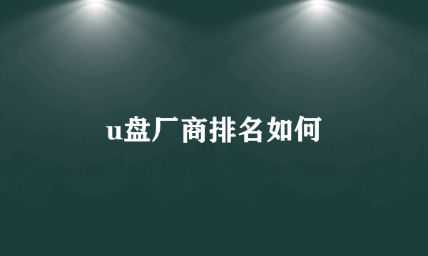 u盘厂商排名如何