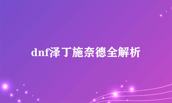 dnf泽丁施奈德全解析