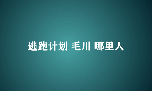 逃跑计划 毛川 哪里人